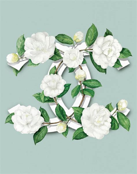 chanel camellia blanc|chanel camellia wallpaper.